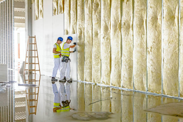 Best Insulation for Specific Applications in Northview, MI